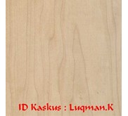 Kayu Maple