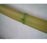 Model detail sarung pedang shirasaya bambu kuning