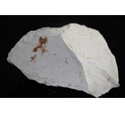 DOLOMITE, DOLOMIT