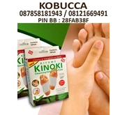 KINOKI DETOX FOOT PADS Koyo Penyerap Toksin dan Racun Tubuh