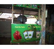 gerobak jagung manis