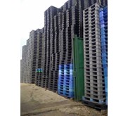 Pallet Plastik