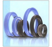 Hydraulic seal