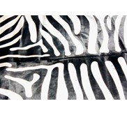 Zebra Painting