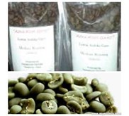 Gayo Arabica