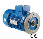 Elektro Motor Flange Mounted China