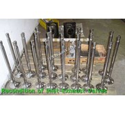 Hard Chrome Plating coating, Recondition of Inlet-Exhaust Valves( SHIPPING)