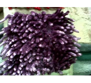 KARPET CENDOL UNGGU
