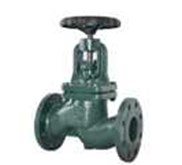 Globe Valve 