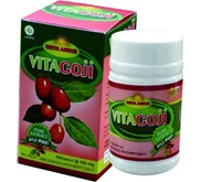 VITAGOJI Goji Berry Ekstrak