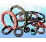 Oil Seal , Oli Sil