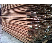 KAYU DUREN BURUNG