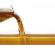 Fish Oil