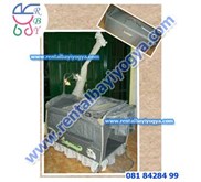 BOX BAYI BABYDOES BRAVADA