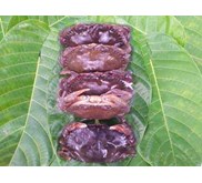 Kepiting SOKA
