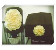 Sarung Galon + tutup kulkas Set The Blooming Rose