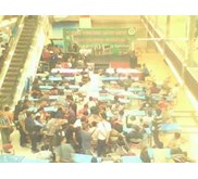 Seminar Lingkungan