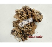 wafer kemel belum giling