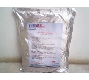 Enzimaxe Care Sinbiotik ( Probiotik)
