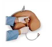 Life/ form® Male Catheterization Simulator ( LF00855U)