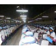 Operator Produksi/ Karyawan Pabrik/ Karyawan Biasa