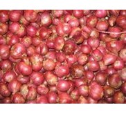 bawang merah