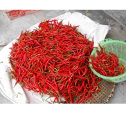 Cabe merah