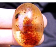 AMBER FOSSIL PURBA ( Code : ABR0005 )