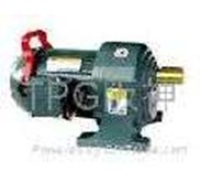 Gear Motor Foot Mounted
