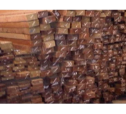 Kayu Kruing, Meranti, Kapur, Kempas, Kamper Kalimantan