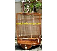 Sangkar untuk Murai batu Motif Holomong Super, Sangkar: Kacer hitam, Poksay, Jalak Uren, Cucak Rowo.