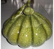 Toples Buah Labu