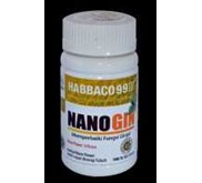 NANOGIN