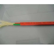 Patchcord