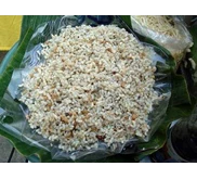 privat budidaya kroto lahan terbatas, modal kecil, untung berlipat