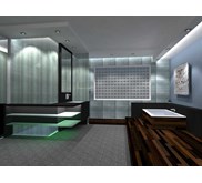 Disain Master Bathroom