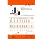 Battery VRLA OPzV / OPzS