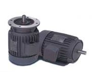 Induction Motor 3Phase Foot Mounted FUKUTA, LM, TECO, TAI YIH SUN
