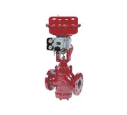 10000 Series Double-Seated Control Valve