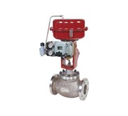 21000 Series Top-Guided Globe Control Valve