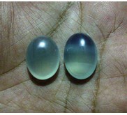 Cimpago ( Cempaka) Biru