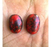 Pirus Merah