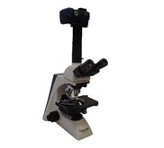 Microscopes - Compound