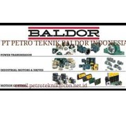 PT PETRO TEKNIK RELIANCE MOTOR ELECTRIC AC MOTOR EXPLOSIOON PROOF MOTOR