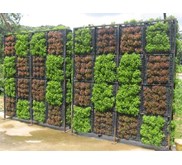 MINIMALIST WATERFALL GARDENS DAN VERTICAL GARDENS ( GREEN WALLS)