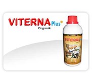 VITERNA