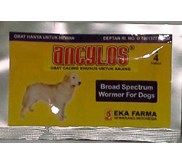Obat Cacing Anjing ANCYLOS