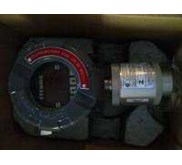 Menyediakan Gas detector sistem fixed Itrans