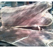 Kayu Log Trembesi