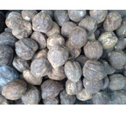* * * * * supplier kemiri * * * * *